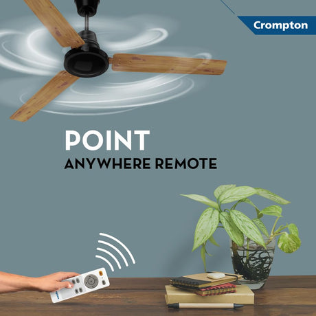 This Ceiling fan energion  has point anywhere remote 