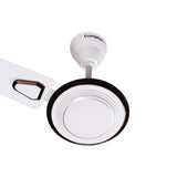 Designer Ceiling fans crompto n 