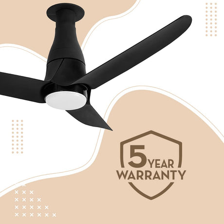 This fan has 5 years warranty 