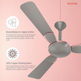 Polycab Aeroglam 1200 mm 1 Star Ceiling Fan (Ash Grey)