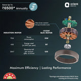 Orient Electric I-Float 1200mm BLDC Ceiling Fan (Space Grey)