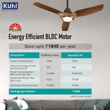 Käuhl ceiling fan with energy efficiency chart in a living room setting