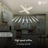 Kitchen with a ceiling fan highlighting high-speed airflow, Orient Electric branding visible.