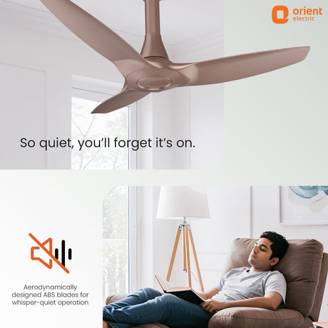Ceiling fan in a room with a person using a laptop, featuring Orient Electric branding.