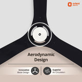 This orient ceiling fan has a aerodynamic deigned blades 