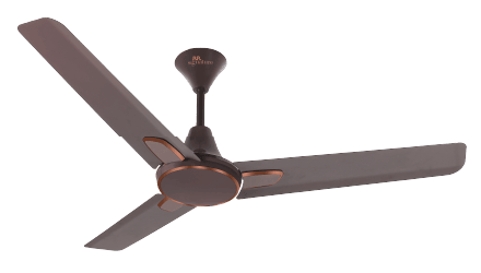 RR Signature Ovalo 1200mm Decorative Ceilign Fan (Chocolate Brown)