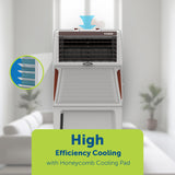 Symphony Touch 40 Room Air Cooler