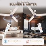 Ceiling fan with remote control in a living room setting, showing dual comfort for summer and winter.