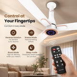 This Ceiling fan has reverse rotation, breeze mode, Boost Mode and Sleep Mode .  