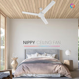 A Polycba nippy ceiling fan hain livings been placed in living  space 