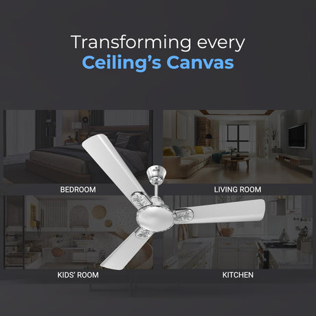 A Polycab Ceiling fan has a Transforming every Ceiling canvas
