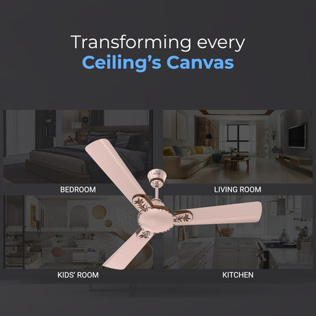 This fan can be installeched anywhere like in bedroom , living room , kitchen Etc 