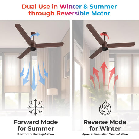 A polycab Silencio mini ceiling fans comes with Dual modes use  functions for summer forward mode and for winter Reverse mode, 