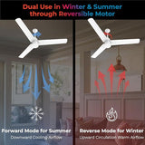 This Ceiling fan has Dual use in winter and summer through Reversible Motor i.e, Forward Mode fir Summer REverse Mode for Winter 
