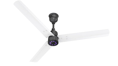 Ceiling fan with white blades and black light fixture on a white background