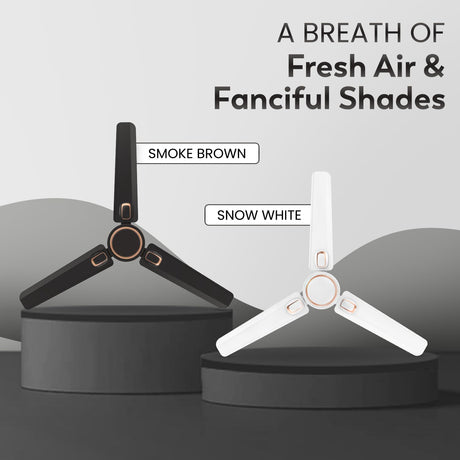 Two fans, one black and one white, on a gray background with text about color options.
