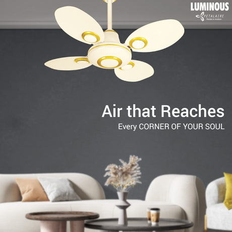 The RR Signature Petalaire Ceiling fan 600mm Air that reaches every corner of your soul . 