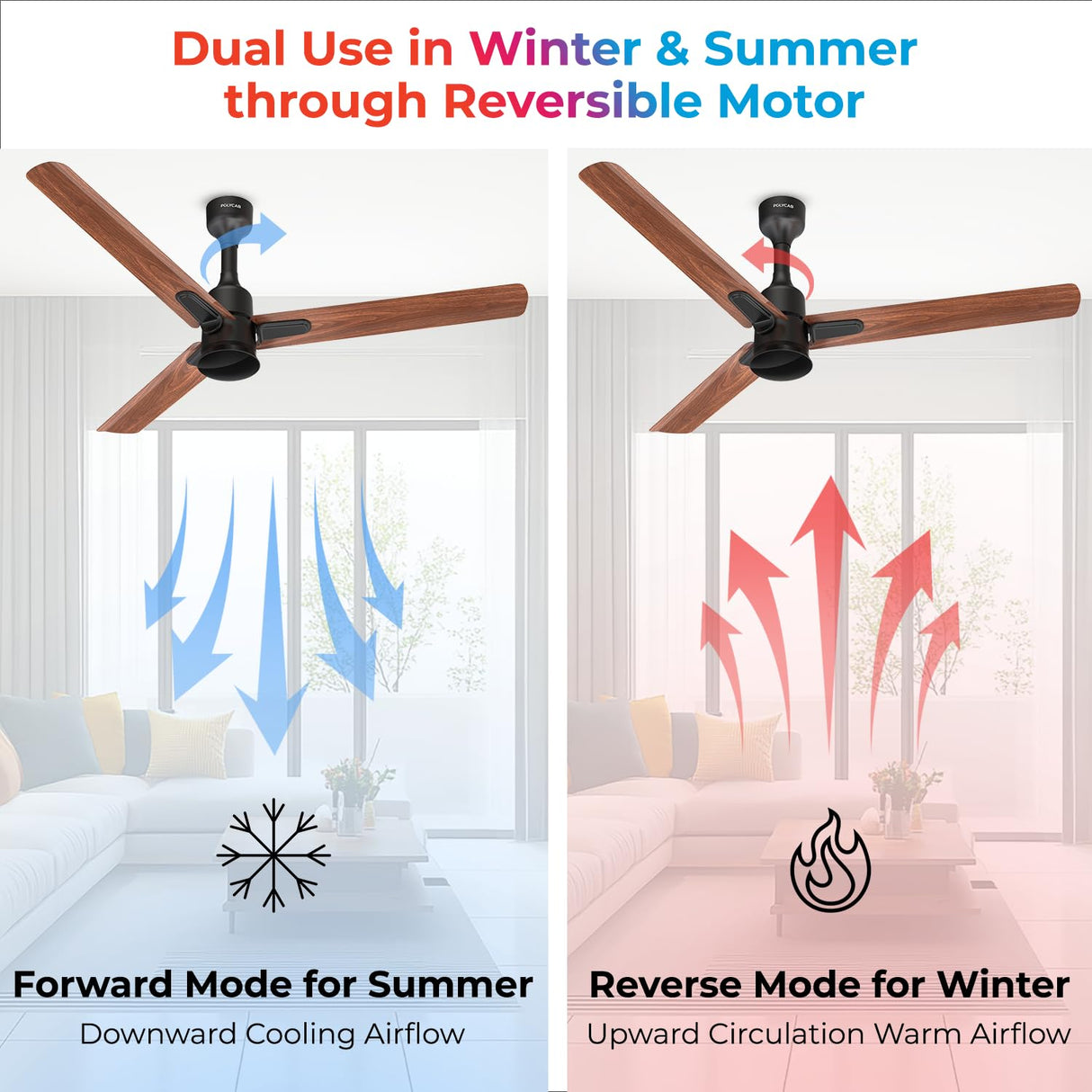 Polycab Silencio Mini DLX 1200mm 5-Star Advanced BLDC Ceiling fan 【Maple Wood】