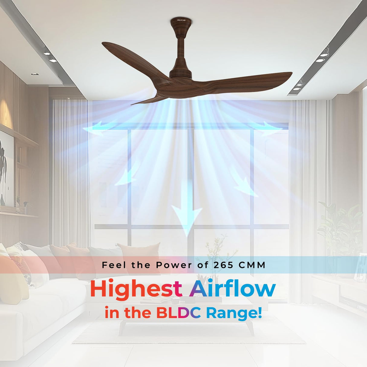 Polycab Silencio Cruiser Prime 1200mm BLDC Low Noise Ceiling fan 【Walnut Wood】
