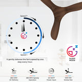 Polycab Silencio Cruiser Prime 1200mm BLDC Low Noise Ceiling fan 【Walnut Wood】