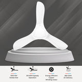 Polycab Silencio Cruiser Prime 1200mm Low Noise Ceiling fan【White】