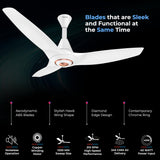 Polycab Silencio Cruiser 1200mm BLDC Premium Silent Ceiling Fan 【White Rose Gold】