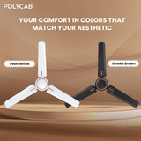 Two ceiling fans, one pearl white and one smoke brown, on a brown background with Polycab branding.