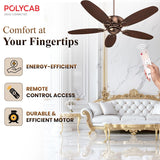 Polycab Superia SP04 BLDC 1200mm Premium Ceiling fan (Antique Copper Rosewood)