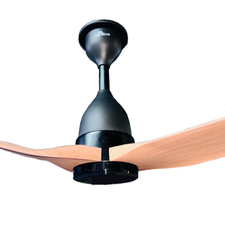 A modern ceiling fan with matte black metal housing and light wood blades, shown against a plain white background.