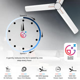 Polycab Wizzy Neo 1200mm 5-Star BLDC Ceiling fan | White Rose Gold