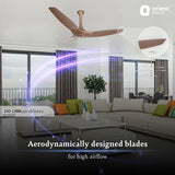 Orient Electric Aeroquiet BLDC 1200mm Noiseless Ceiling Fan (Caramel Brown)