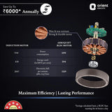Orient Electric Aeroquiet BLDC 1200mm Noiseless Ceiling Fan (Caramel Brown)