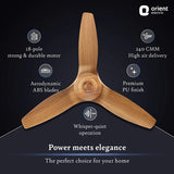 Orient Electric Aeroquiet 1230mm Premium Ceiling Fan (Pine Wood)