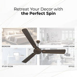 Polycab Vital Plus 1200mm Star Rated Ceiling Fan (Jaco Bean)