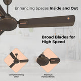 Polycab Vital Plus 1200mm Star Rated Ceiling Fan (Jaco Bean)