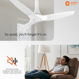 Orient Aeroquiet Neu Bldc 5S 1230mm Ceiling Fan White