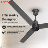 Polycab Wizzy Plus 1200mm 5-Star BLDC Ceiling Fan With remote (Matt Black)