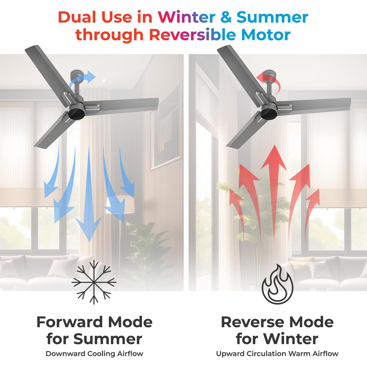 POLYCAB Wizzy Neo 1200mm BLDC Remote Ceiling fan (Ash Grey Chrome)