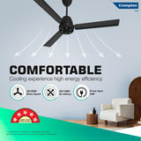 Crompton Energion Niteo 1200 mm BLDC Ceiling Fan (Matte Black)