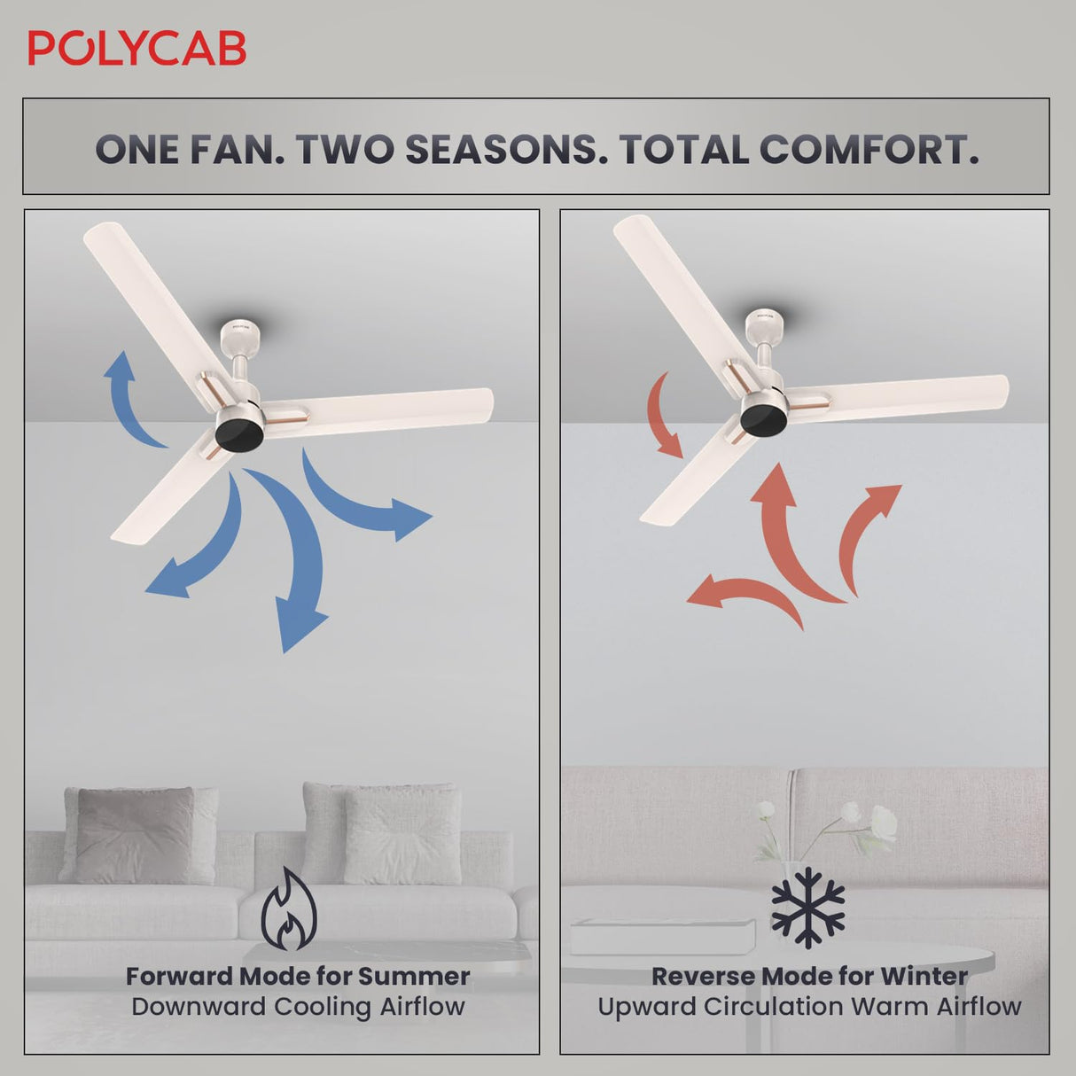 Polycab Wizzy Neo 1200mm 5-Star BLDC Ceiling fan with remote (Beige Rose gold)