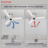 Polycab Wizzy Neo 1200mm 5-Star BLDC Ceiling fan with remote (Beige Rose gold)