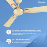 Ceiling fan with Polycab branding on a blue background