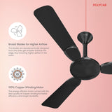 Black ceiling fan with text on a pink background, featuring Polycab brand.