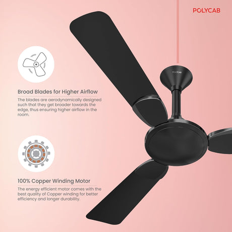 Black ceiling fan with text on a pink background, featuring Polycab brand.