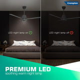 Crompton Energion Niteo 1200 mm BLDC Ceiling Fan (Matte Grey)