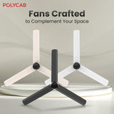 Polycab Wizzy Plus 1200mm 5-Star BLDC Ceiling Fan With remote (Matt Black)