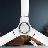 RR Signature SOHO 1200mm BLDC Ceiling Fan (Alice White)