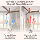 Polycab Zoomer Prime 1200mm 5-Star BLDC Remote Ceiling fan (Metallic Copper)