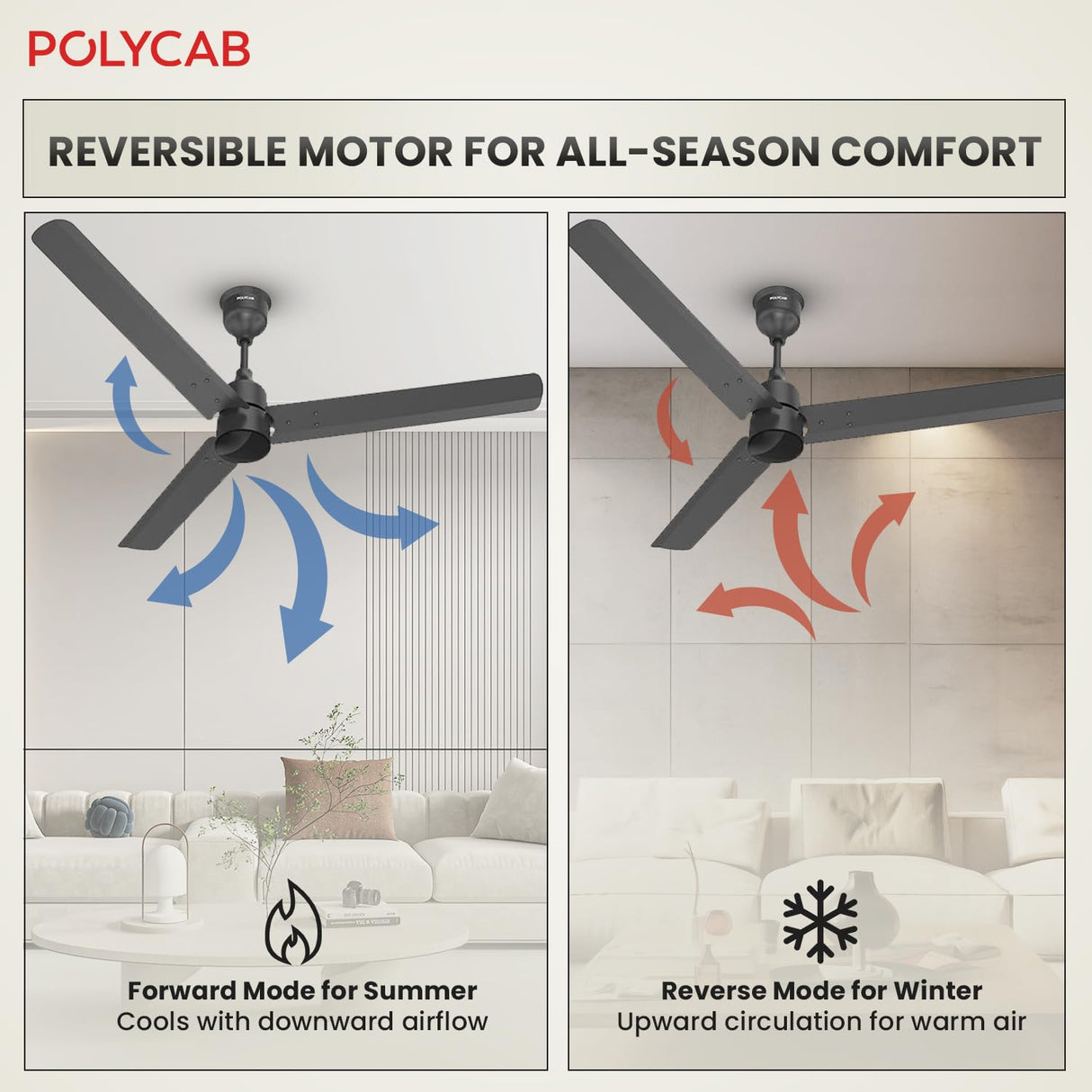 Polycab Wizzy Plus 1200mm 5-Star BLDC Ceiling Fan With remote (Matt Black)