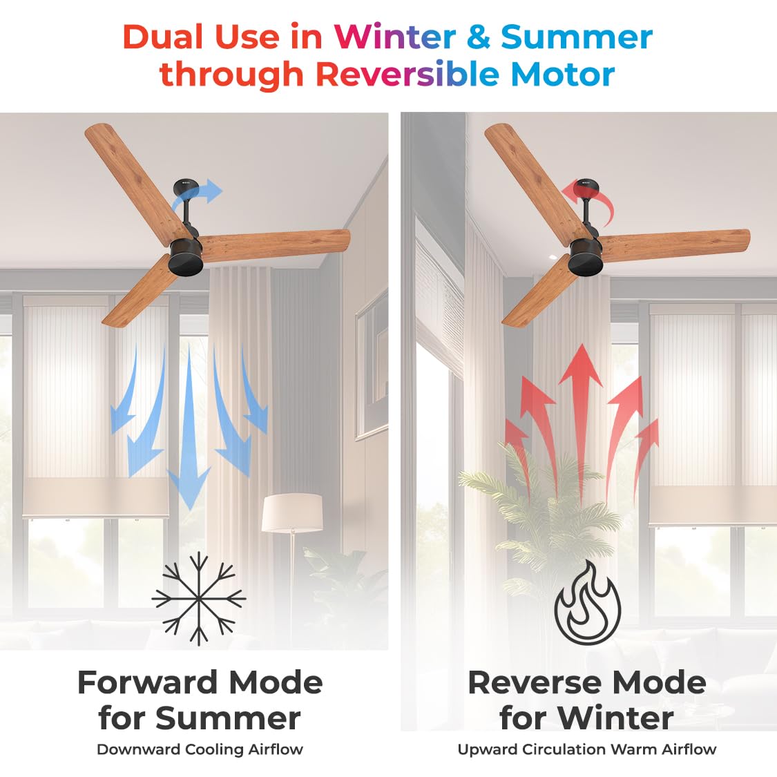 Polycab Silencio Mini 900mm Remote Ceiling fan (Natural Wood)